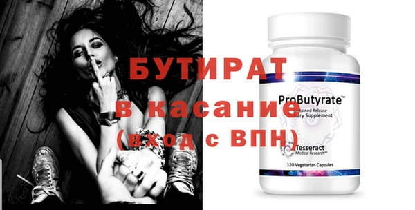 индика Ельня