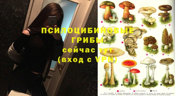 мяу мяу мука Армянск