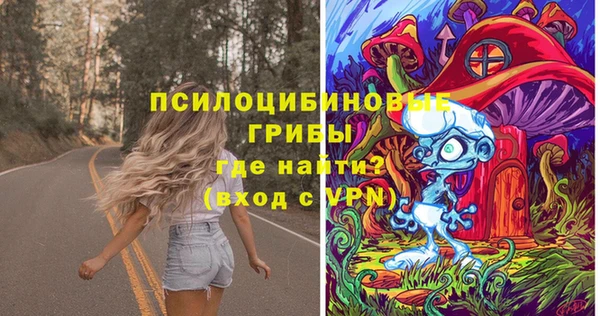 дурь Аркадак