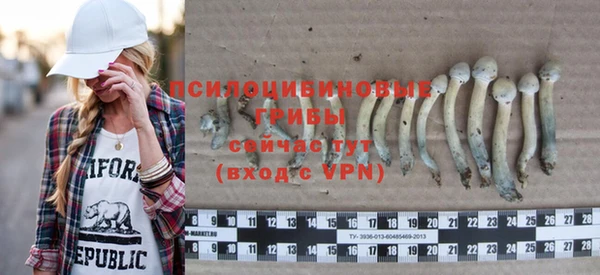 mix Арсеньев