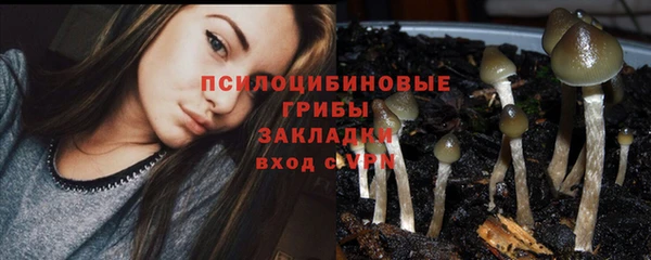дурь Аркадак