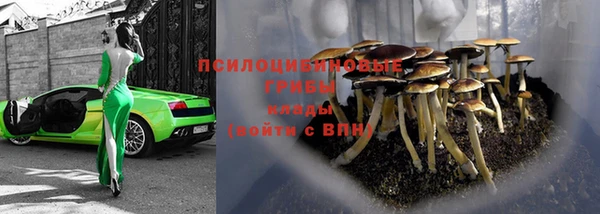 мяу мяу мука Армянск