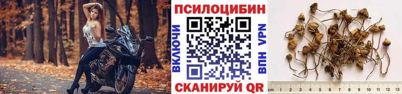 наркотики  blacksprut как зайти  Псилоцибиновые грибы мицелий  Усть-Джегута 