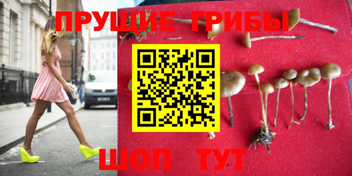 Галлюциногенные грибы прущие грибы  Вход с VPN  Усть-Джегута  Галлюциногенные грибы мицелий 