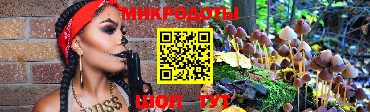 Галлюциногенные грибы прущие грибы Усть-Джегута