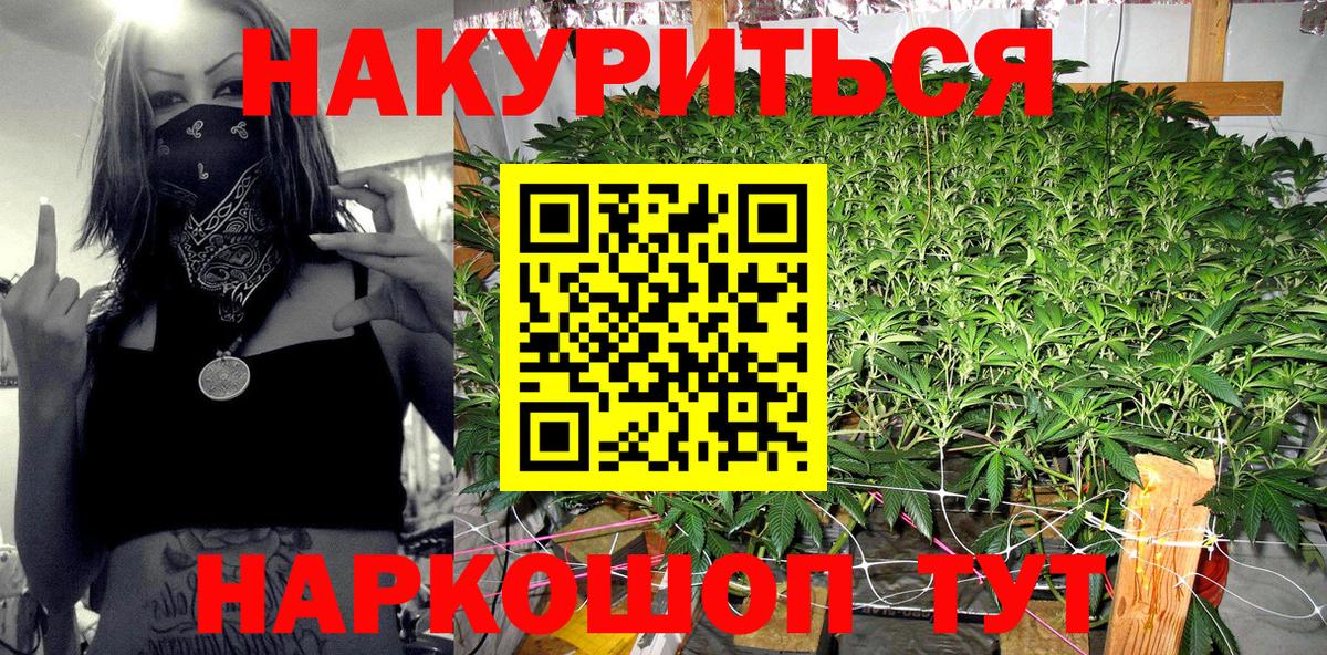 Бошки Шишки OG Kush Усть-Джегута
